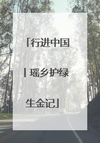 行进中国丨瑶乡护绿生金记