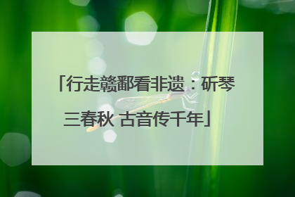 行走赣鄱看非遗：斫琴三春秋 古音传千年