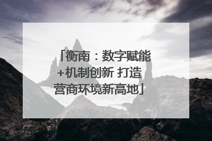 衡南：数字赋能+机制创新 打造营商环境新高地
