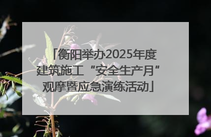 衡阳举办2025年度建筑施工“安全生产月”观摩暨应急演练活动