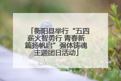 衡阳县举行“五四薪火智勇行 青春新篇扬帆启”强体铸魂主题团日活动