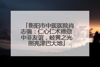 衡阳市中医医院肖志强：仁心仁术播撒中非友谊，岐黄之光照亮津巴大地