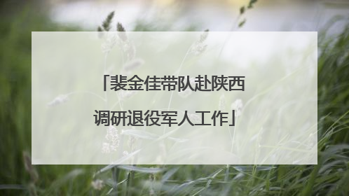 裴金佳带队赴陕西调研退役军人工作