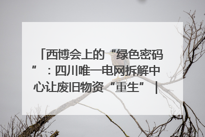 西博会上的“绿色密码”：四川唯一电网拆解中心让废旧物资“重生”｜西博寻“新”记