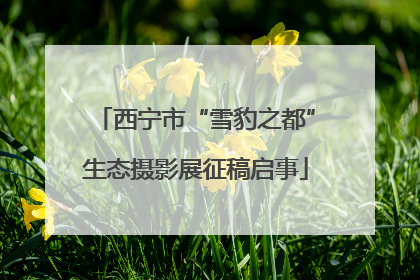 西宁市“雪豹之都”生态摄影展征稿启事