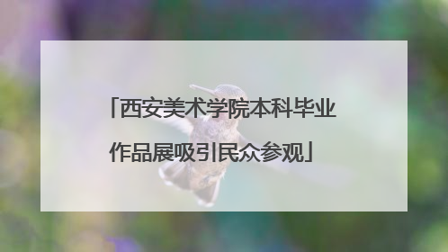西安美术学院本科毕业作品展吸引民众参观