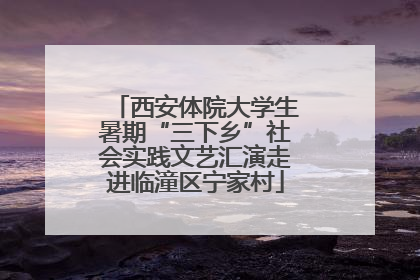 西安体院大学生暑期“三下乡”社会实践文艺汇演走进临潼区宁家村