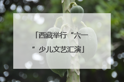 西藏举行“六一”少儿文艺汇演