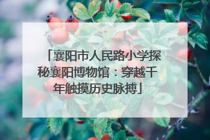 襄阳市人民路小学探秘襄阳博物馆：穿越千年触摸历史脉搏