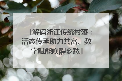 解码浙江传统村落：活态传承助力共富、数字赋能唤醒乡愁