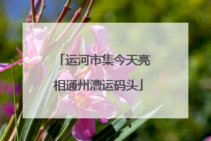 运河市集今天亮相通州漕运码头