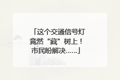这个交通信号灯竟然“藏”树上！市民盼解决……