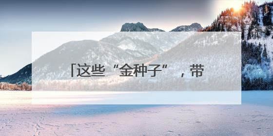 这些“金种子”，带你解锁未来产业！
