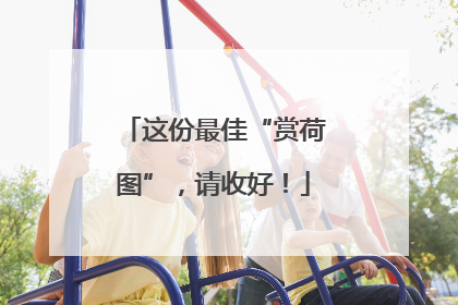 这份最佳“赏荷图”，请收好！