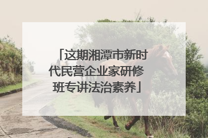 这期湘潭市新时代民营企业家研修班专讲法治素养