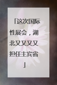 这次国际性展会，湖北又又又又担任主宾省
