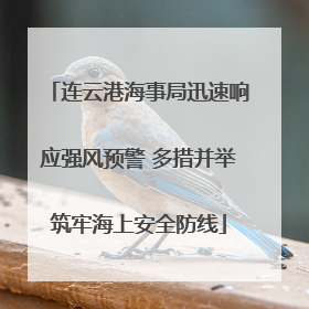 连云港海事局迅速响应强风预警 多措并举筑牢海上安全防线