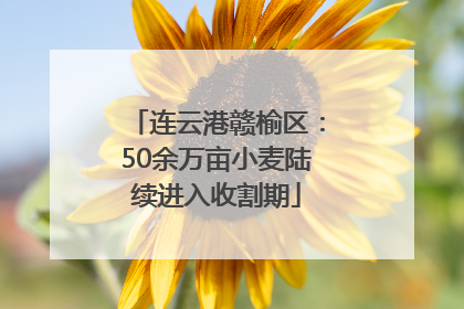 连云港赣榆区：50余万亩小麦陆续进入收割期