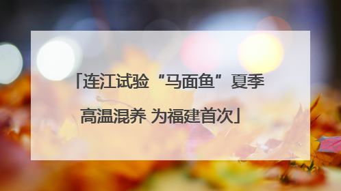 连江试验“马面鱼”夏季高温混养 为福建首次