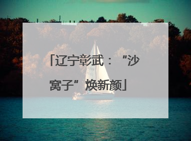 辽宁彰武：“沙窝子”焕新颜