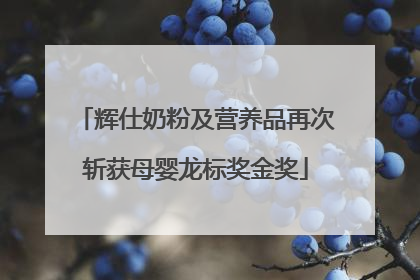 辉仕奶粉及营养品再次斩获母婴龙标奖金奖