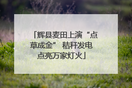 辉县麦田上演“点草成金” 秸秆发电点亮万家灯火
