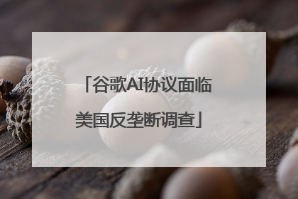 谷歌AI协议面临美国反垄断调查