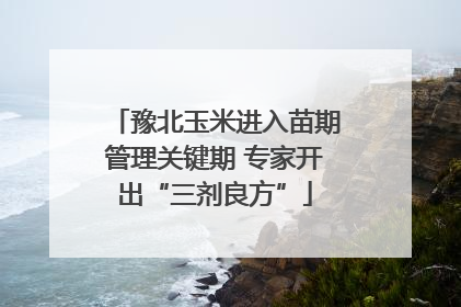豫北玉米进入苗期管理关键期 专家开出“三剂良方”