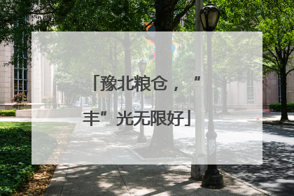 豫北粮仓，“丰”光无限好