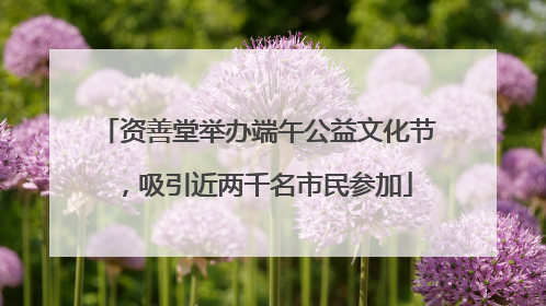 资善堂举办端午公益文化节，吸引近两千名市民参加