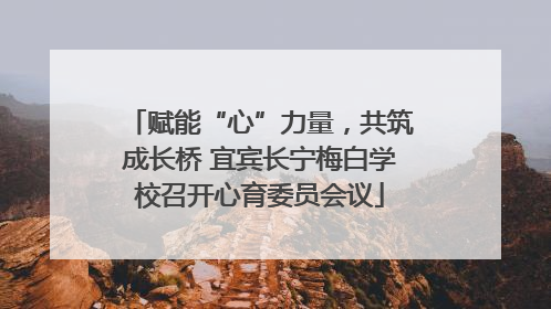 赋能“心”力量，共筑成长桥 宜宾长宁梅白学校召开心育委员会议