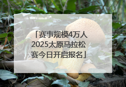 赛事规模4万人 2025太原马拉松赛今日开启报名