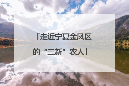 走近宁夏金凤区的“三新”农人