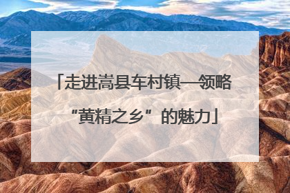走进嵩县车村镇—领略“黄精之乡”的魅力