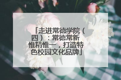 走进常德学院（四）：常德常新 惟精惟一，打造特色校园文化品牌