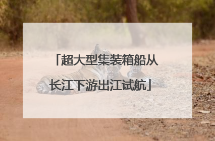 超大型集装箱船从长江下游出江试航