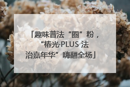 趣味普法“圈”粉，“椿光·PLUS 法治嘉年华”嗨翻全场