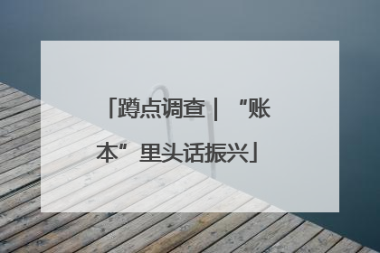 蹲点调查｜“账本”里头话振兴