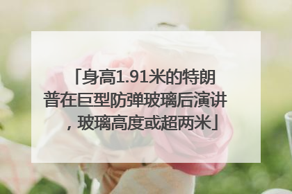 身高1.91米的特朗普在巨型防弹玻璃后演讲，玻璃高度或超两米
