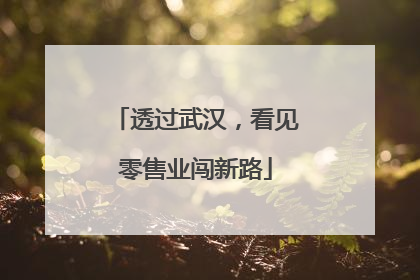 透过武汉，看见零售业闯新路