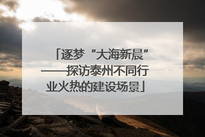 逐梦“大海新晨”——探访泰州不同行业火热的建设场景