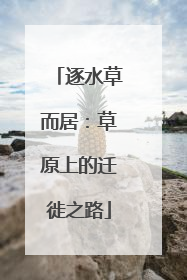逐水草而居：草原上的迁徙之路