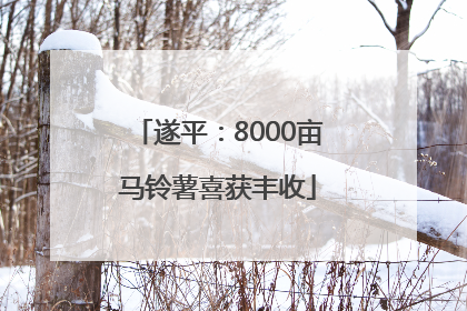 遂平：8000亩马铃薯喜获丰收