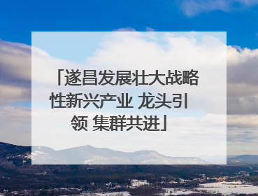 遂昌发展壮大战略性新兴产业 龙头引领 集群共进