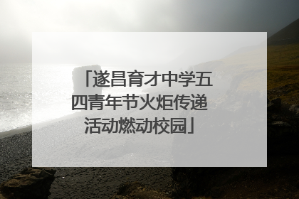 遂昌育才中学五四青年节火炬传递活动燃动校园
