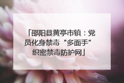 邵阳县黄亭市镇：党员化身禁毒“多面手” 织密禁毒防护网