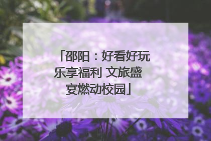 邵阳：好看好玩乐享福利 文旅盛宴燃动校园