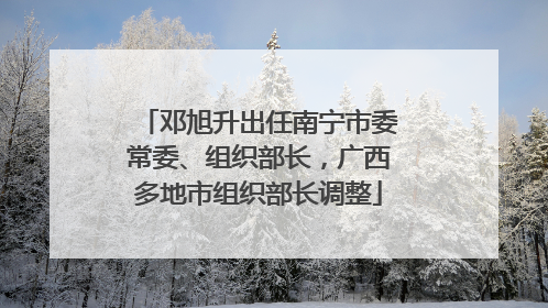 邓旭升出任南宁市委常委、组织部长，广西多地市组织部长调整