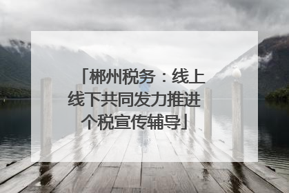 郴州税务：线上线下共同发力推进个税宣传辅导
