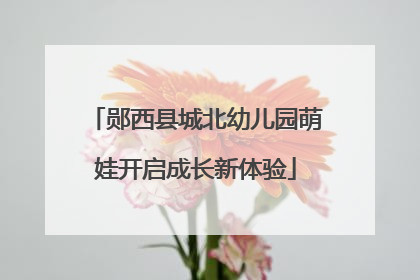 郧西县城北幼儿园萌娃开启成长新体验